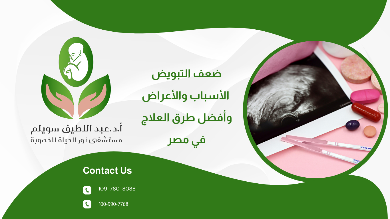 ضعف التبويض: الأسباب، الأعراض، وأفضل طرق العلاج في مصر