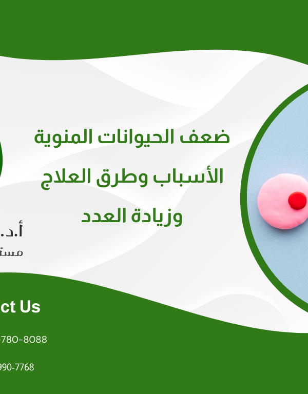 ضعف الحيوانات المنوية: الأسباب وطرق العلاج وزيادة العدد