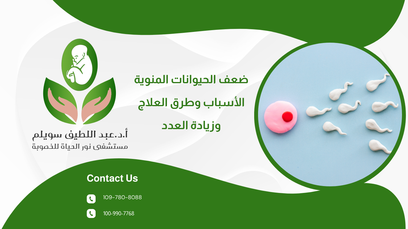 ضعف الحيوانات المنوية: الأسباب وطرق العلاج وزيادة العدد
