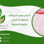 أسباب ضعف الحيوانات المنوية عند الرجال وكيفية تحسينها