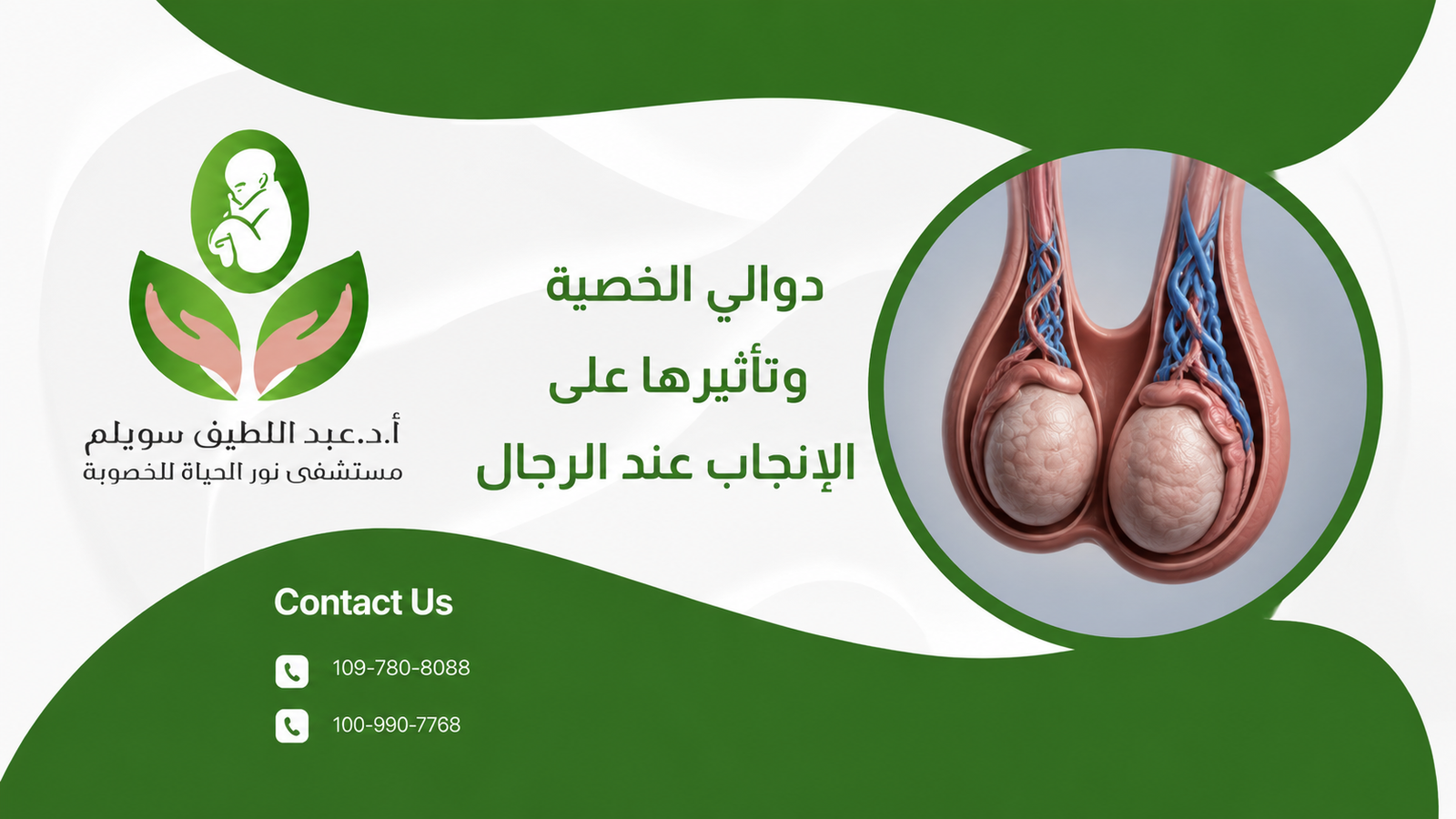 دوالي الخصية وتأثيرها على الإنجاب عند الرجال
