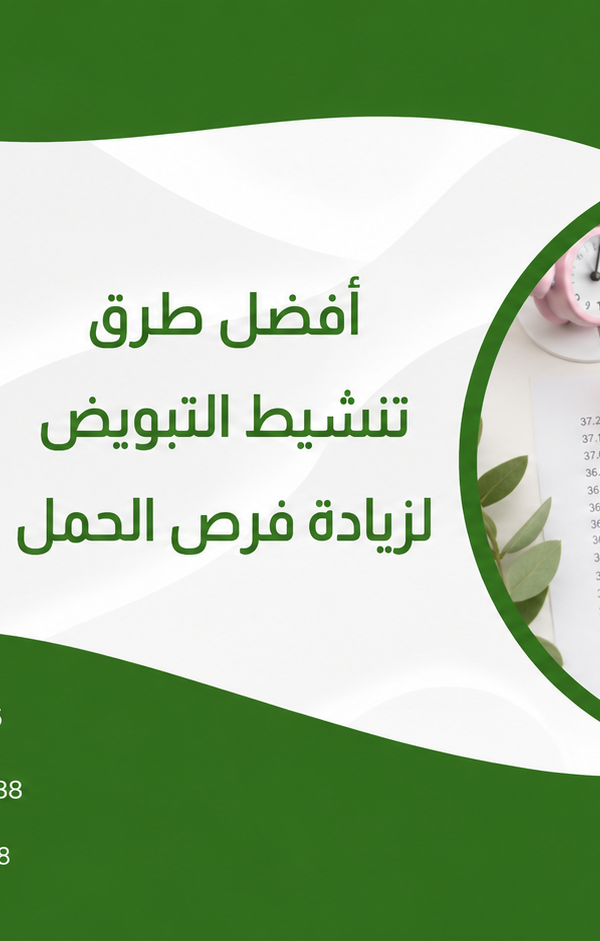 أفضل طرق تنشيط التبويض لزيادة فرص الحمل